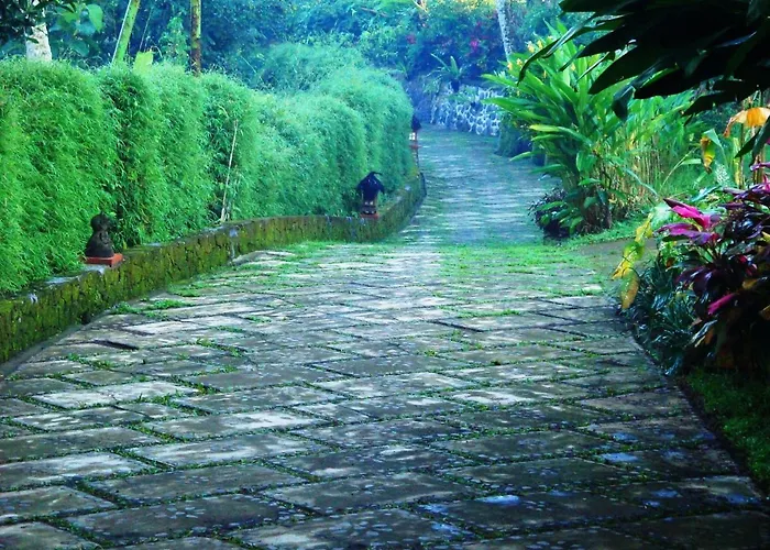Santai